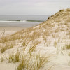 Crane Beach April, 2009 : 